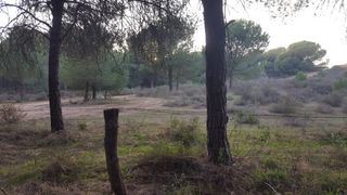 Allevamento di bestiame con porta