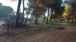 Allevamento di bestiame con porta