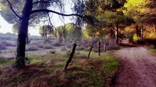 Allevamento di bestiame con porta