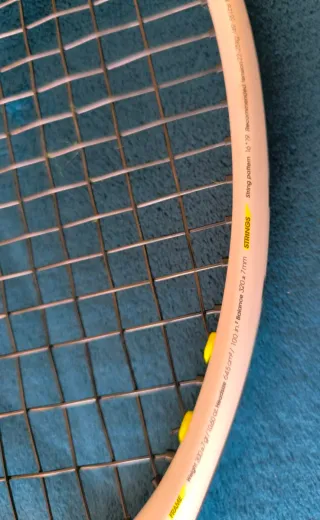 Raqueta Tenis Tecnifibre TF-X1 300.