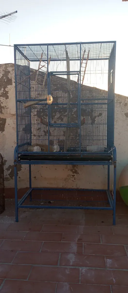 Jaula grande voladero azul
