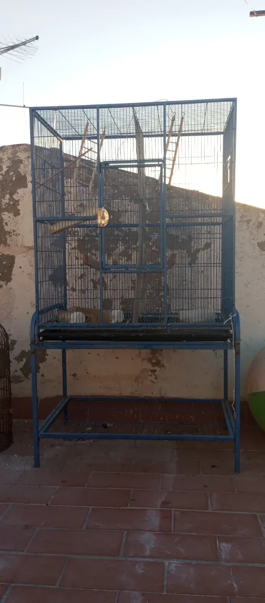 Jaula grande voladero azul