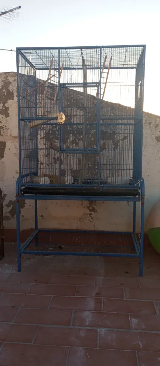 Jaula grande voladero azul