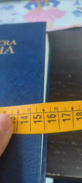 La Sacra Bibbia - Libro Religioso