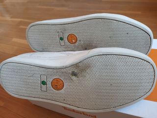 Zapatillas Timberland Beige/Marrón
