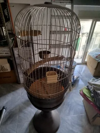 Jaula para loro grande