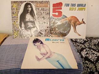 Lote 15 vinilos Progressive,vocal ,bases,90