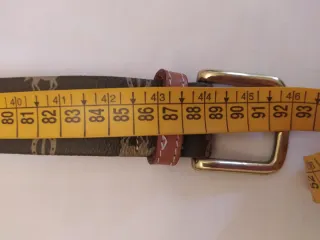 Cinturón Marrón con Hebilla Dorada