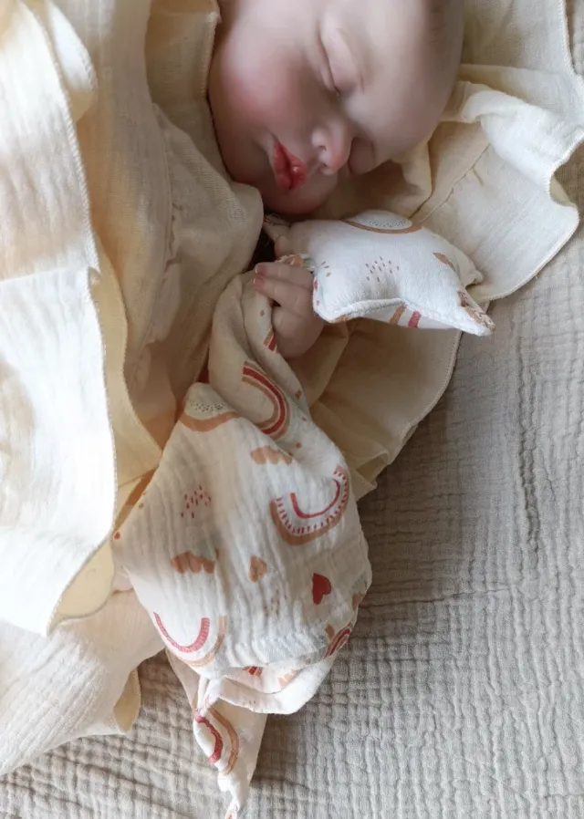 Conjunto Manta Muselina y Doudou Arcoíris