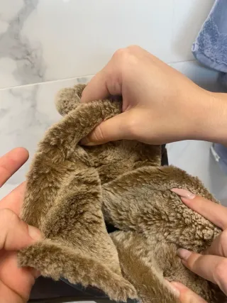 Botas Panama Jack Marrones Talla 37