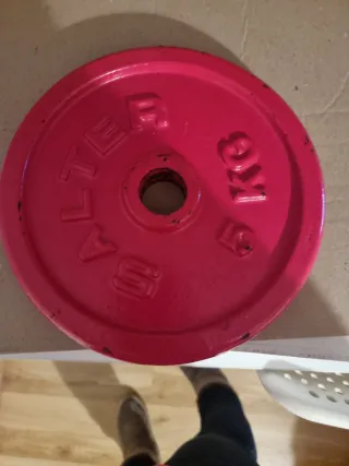 Disco de pesa Salter 2 de 5 kg, 2 de 4kg y las 
