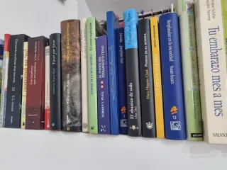 Lote de 15 Libros Adulto Variados