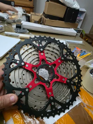 Piñones Bicicleta 12 Velocidades