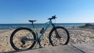 Orbea Alma