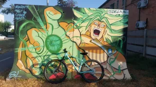 Orbea Alma