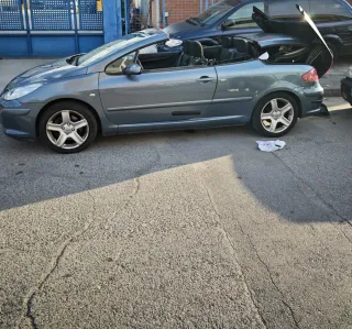 Reparación problemas hidráulicos Peugeot 307 CC