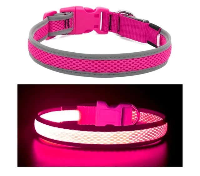 Collar para perro rosa con luz LED