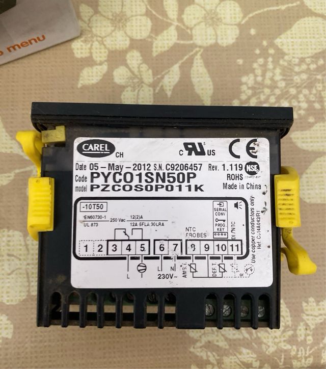Termostato CAREL para freidora industrial