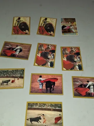 Lote 10 Imanes Taurinos
