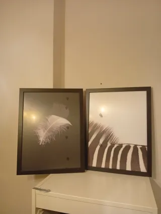 Cuadro Cebra Blanco y Negro 
Pluma  y  Paris 