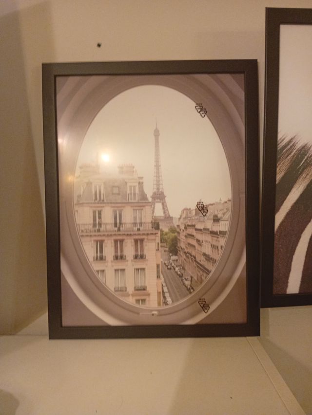 Cuadro Cebra Blanco y Negro 
Pluma  y  Paris 