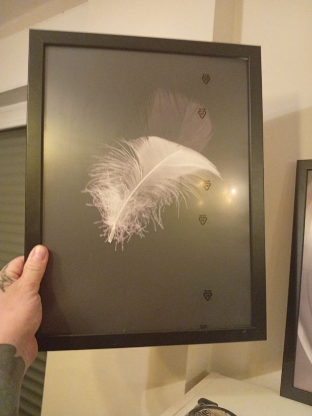 Cuadro Cebra Blanco y Negro 
Pluma  y  Paris 