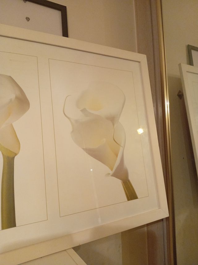 Cuadro flores Calla Lirio blanco madera