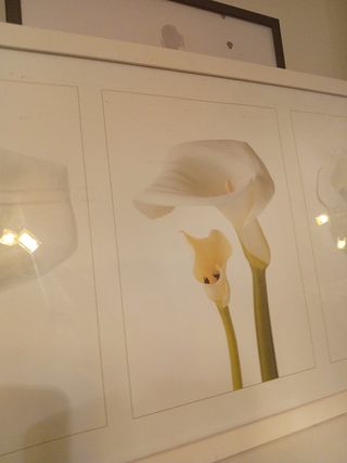 Cuadro flores Calla Lirio blanco madera