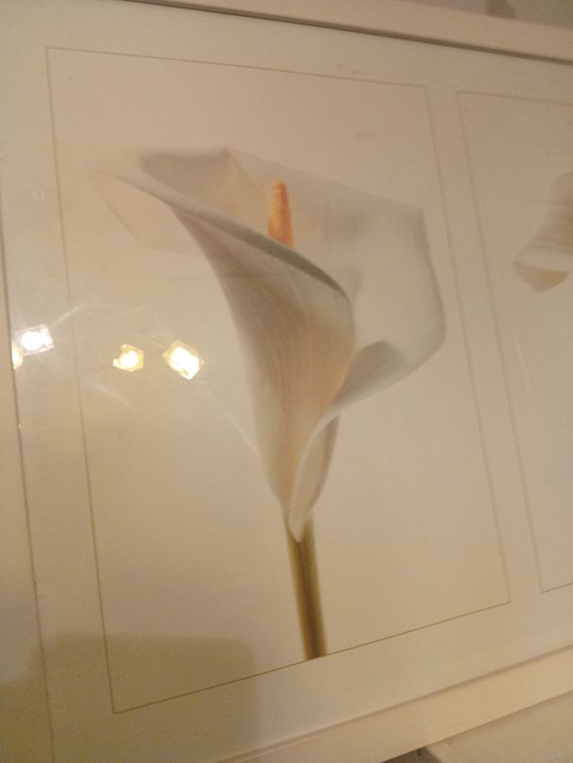 Cuadro flores Calla Lirio blanco madera