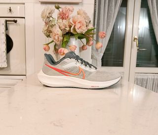 Nike Zoom Pegasus 39 Grigio Arancio