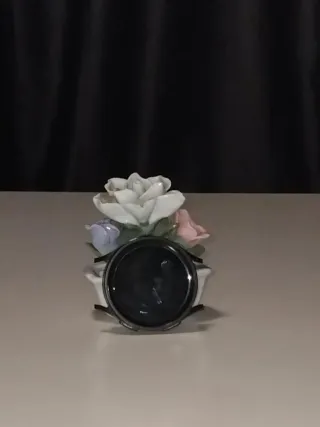 Samsung Galaxy Watch 5 Pro Negro
