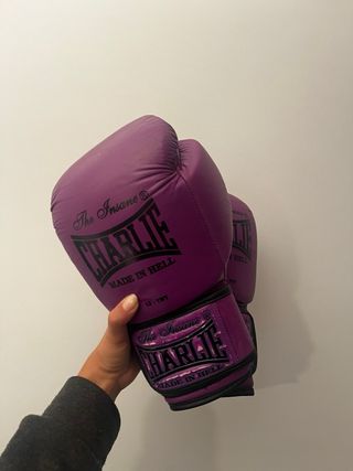 Guantes de Boxeo Charlie 12 TNT Morado