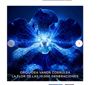 Guerlain Orchidée Impériale Crema Longevidad