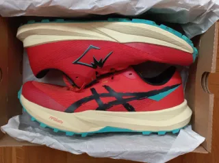 Zapatillas de trail Asics Fuji Lite 6 (44)