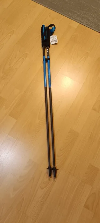Bastones Salomon Pulsar Carbon Talla 110