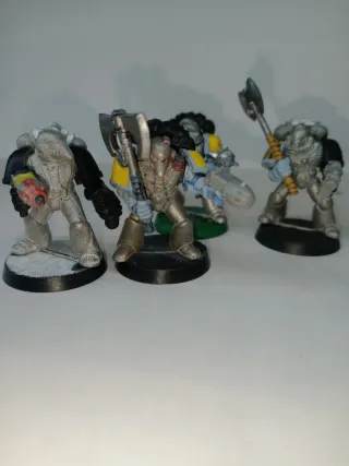 X7 marines espaciales Rogue trader lobos espaciale