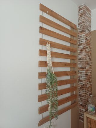 Listones de madera para colgar plantas