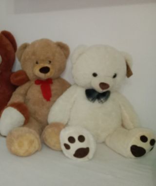 Pareja Osos Peluche XL