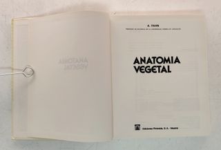 Anatomía vegetal.