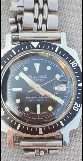 Due Orologi seawatch e citizen