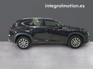 Lexus NX 2.5 300h Business 2WD