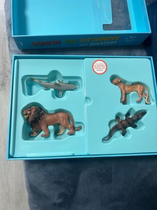 Juego Descubre los Animales del Mundo