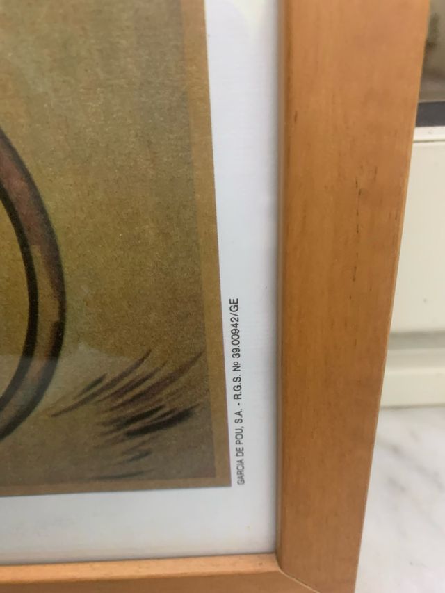 Quadro Vintage 4CATS