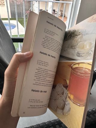 Helados y Sorbetes
