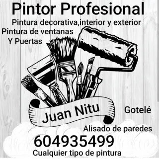 Pintor Profesional Juan Nitu