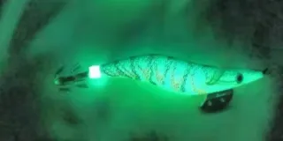 Egis - pajaritos