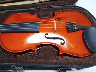 Viola Kreutzer 13 con estuche y arco