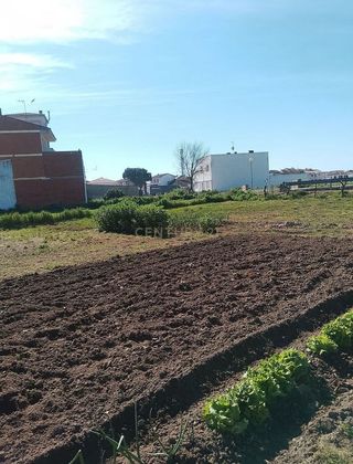 Terreno en venta en Moraleja