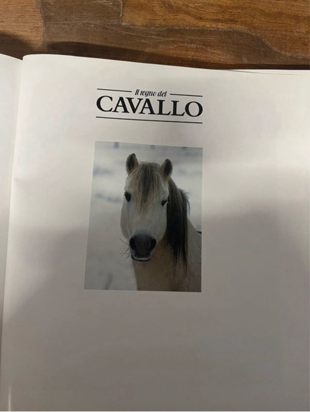 Il cavallo