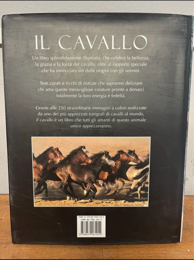 Il cavallo